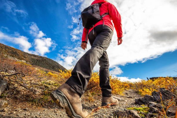 TREKWEAR